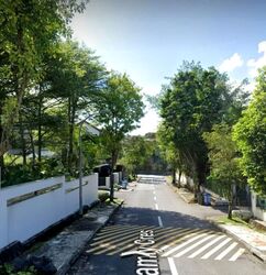 Shamrock Park (D10), Semi-Detached #561338401